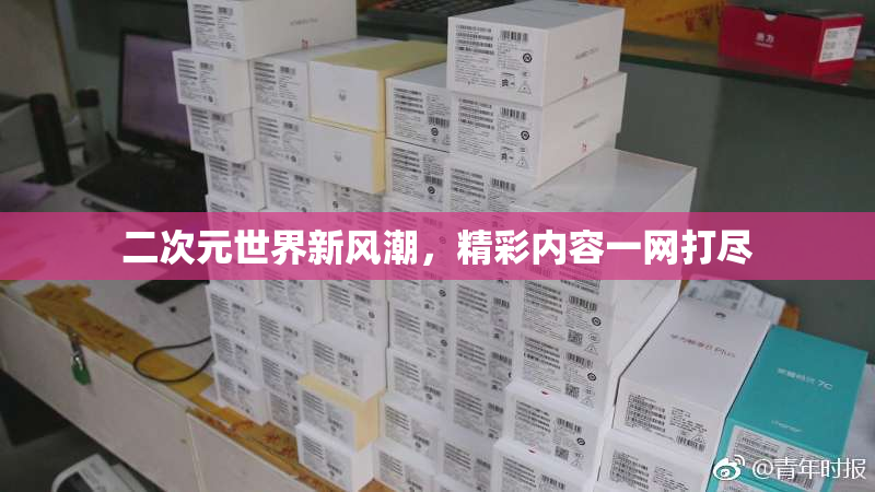 二次元世界新风潮，精彩内容一网打尽