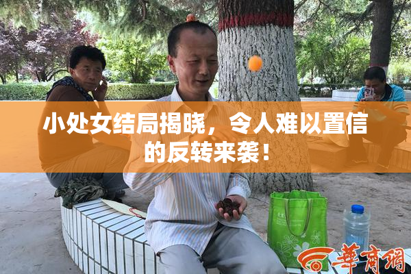 小处女结局揭晓，令人难以置信的反转来袭！