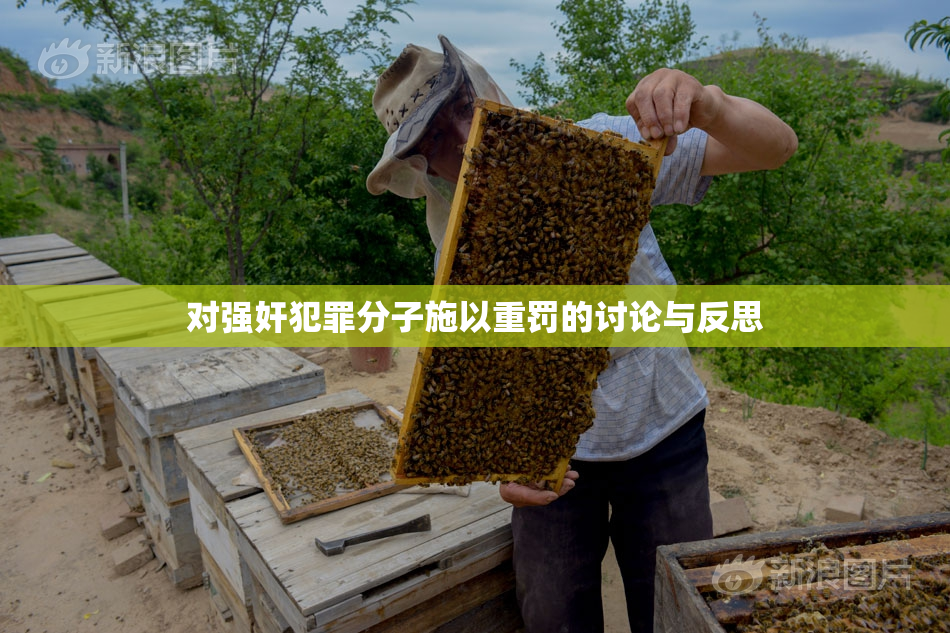 对强奸犯罪分子施以重罚的讨论与反思
