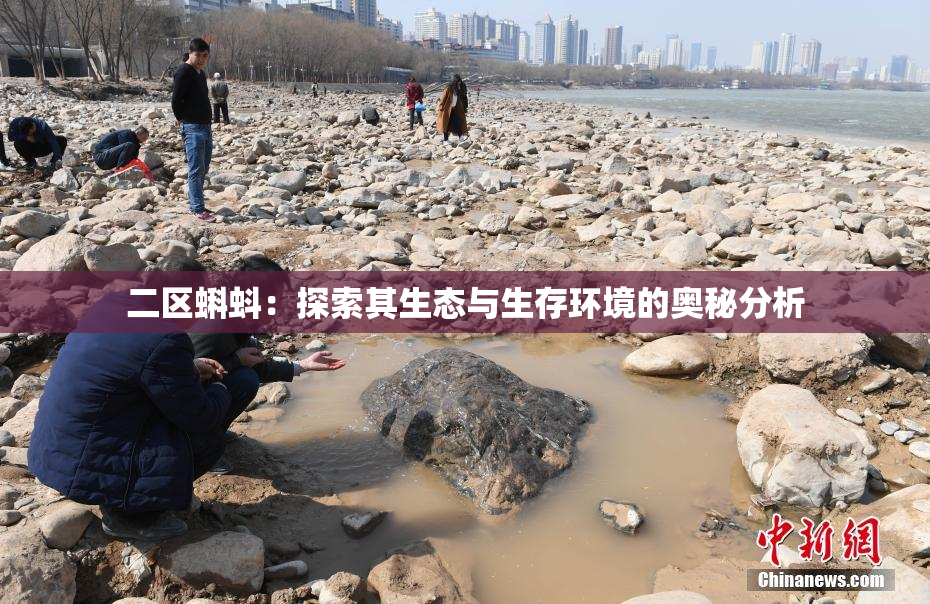二区蝌蚪：探索其生态与生存环境的奥秘分析