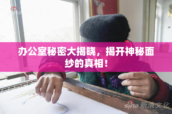 办公室秘密大揭晓，揭开神秘面纱的真相！