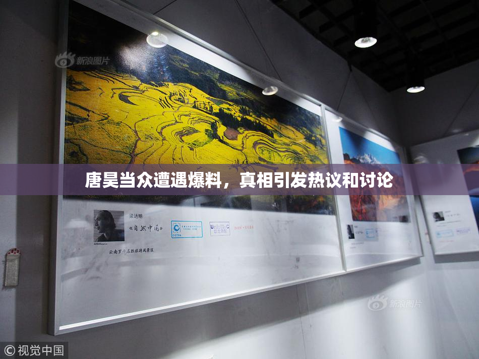唐昊当众遭遇爆料，真相引发热议和讨论