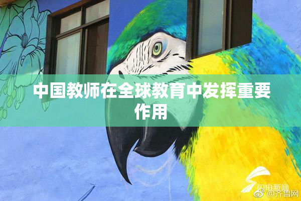 中国教师在全球教育中发挥重要作用