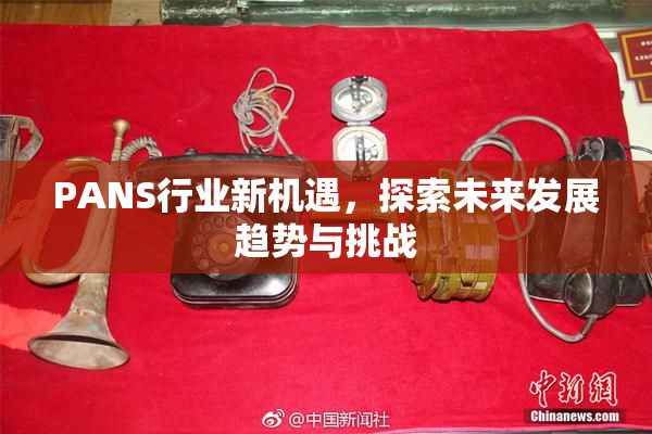 PANS行业新机遇，探索未来发展趋势与挑战