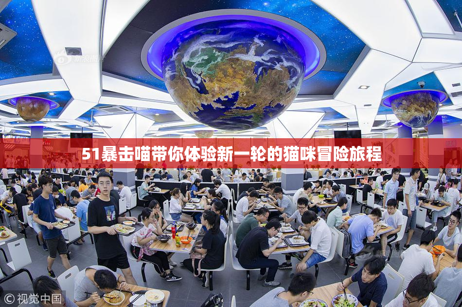 51暴击喵带你体验新一轮的猫咪冒险旅程