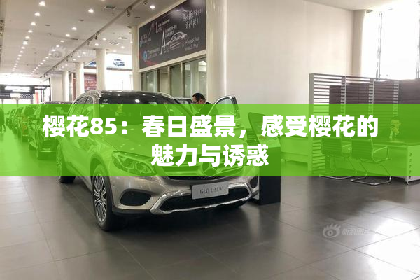 樱花85：春日盛景，感受樱花的魅力与诱惑