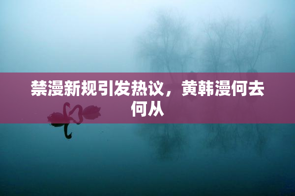 禁漫新规引发热议，黄韩漫何去何从