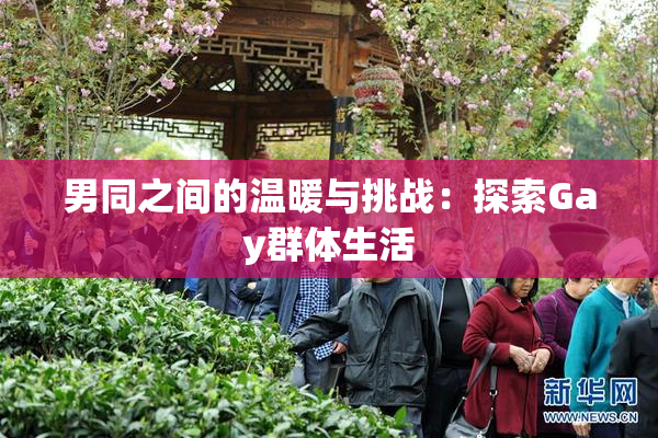男同之间的温暖与挑战：探索Gay群体生活