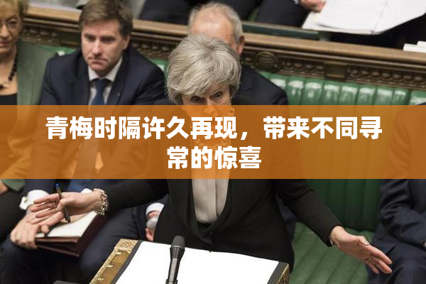 青梅时隔许久再现，带来不同寻常的惊喜