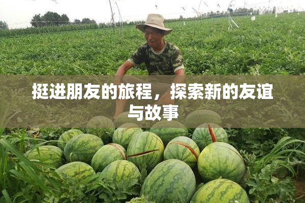 挺进朋友的旅程，探索新的友谊与故事