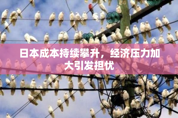 日本成本持续攀升，经济压力加大引发担忧