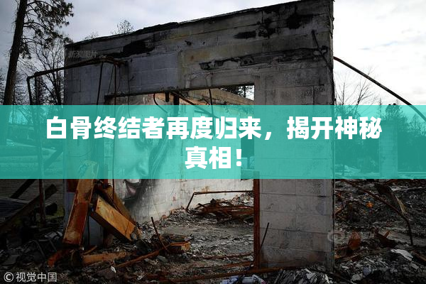 白骨终结者再度归来，揭开神秘真相！