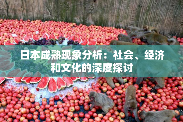 日本成熟现象分析：社会、经济和文化的深度探讨