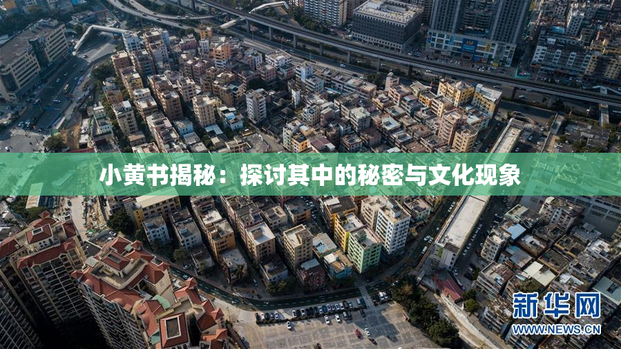 小黄书揭秘：探讨其中的秘密与文化现象