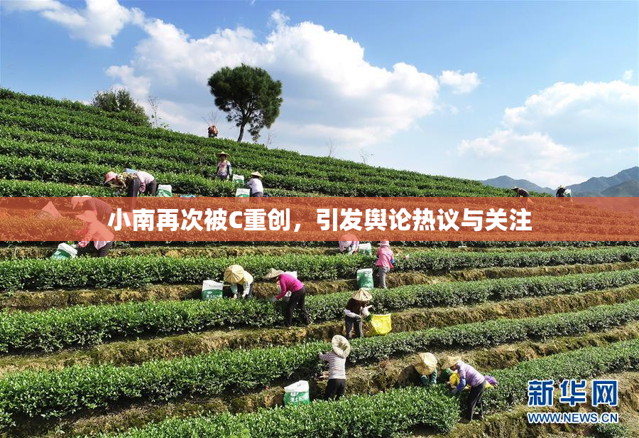 小南再次被C重创，引发舆论热议与关注