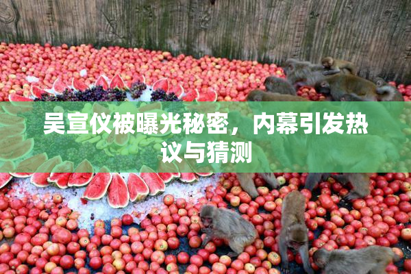 吴宣仪被曝光秘密，内幕引发热议与猜测
