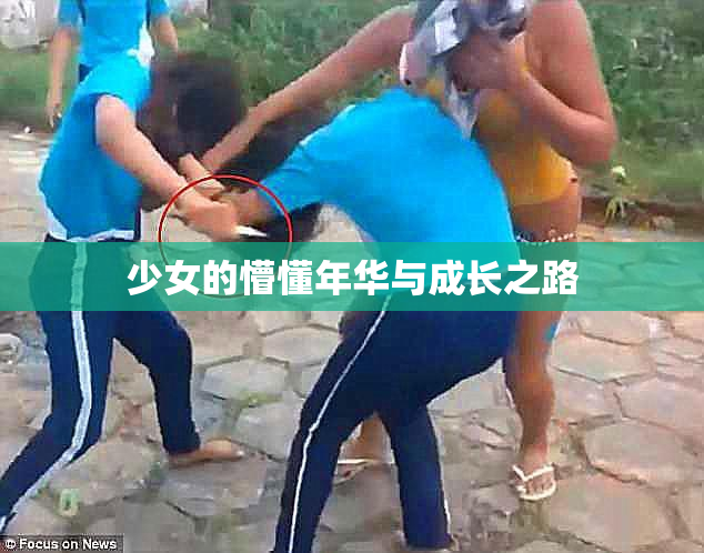 少女的懵懂年华与成长之路