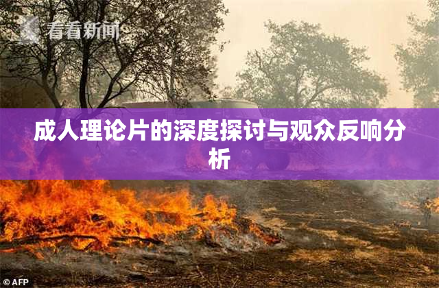 成人理论片的深度探讨与观众反响分析