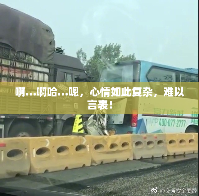 啊…啊哈…嗯，心情如此复杂，难以言表！