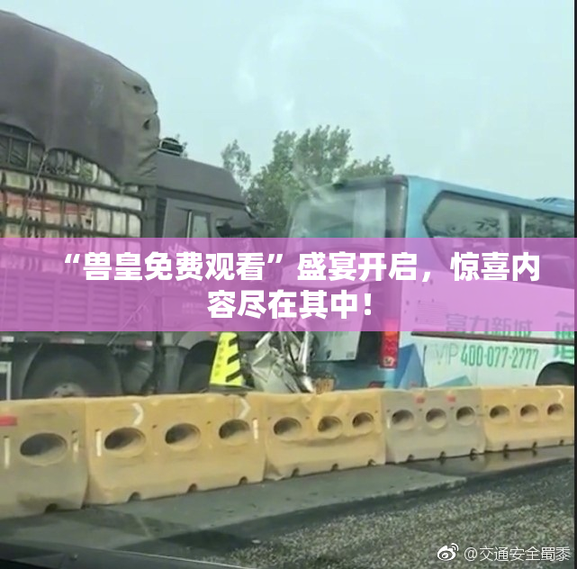 “兽皇免费观看”盛宴开启，惊喜内容尽在其中！