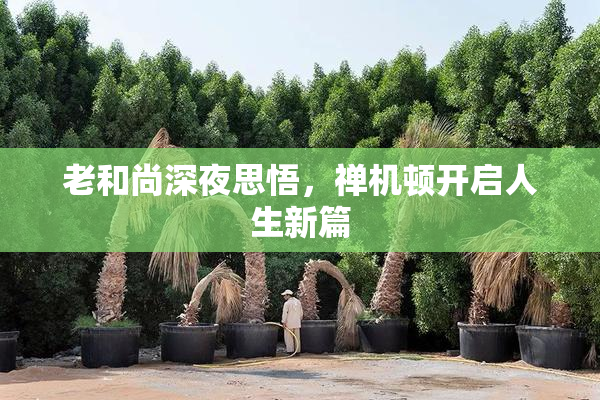 老和尚深夜思悟，禅机顿开启人生新篇