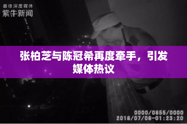 张柏芝与陈冠希再度牵手，引发媒体热议