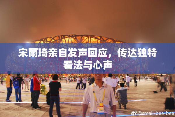 宋雨琦亲自发声回应，传达独特看法与心声