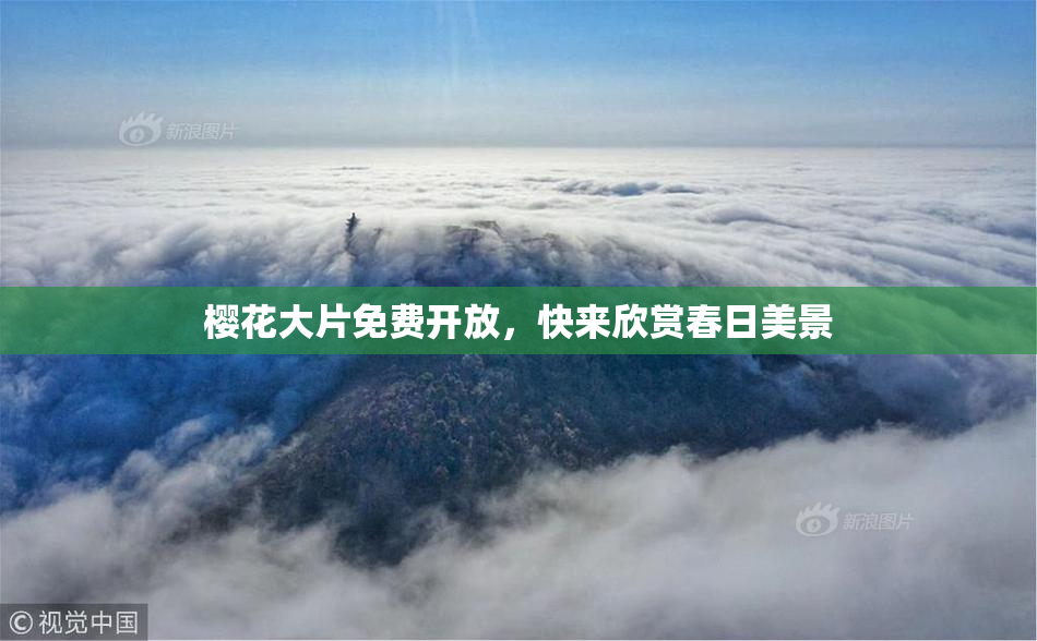 樱花大片免费开放，快来欣赏春日美景