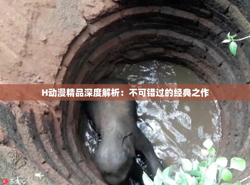 H动漫精品深度解析：不可错过的经典之作