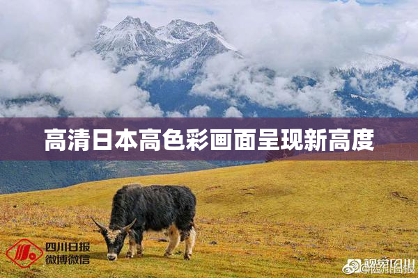高清日本高色彩画面呈现新高度