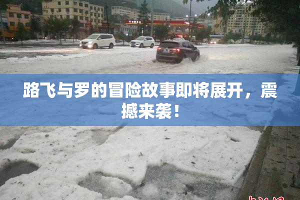 路飞与罗的冒险故事即将展开，震撼来袭！