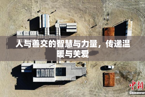人与善交的智慧与力量，传递温暖与关爱