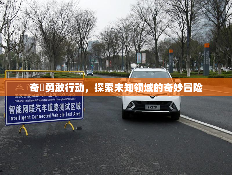 奇犽勇敢行动，探索未知领域的奇妙冒险