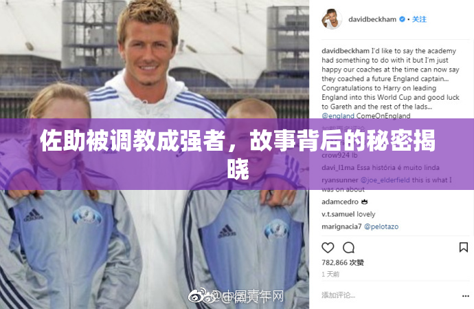佐助被调教成强者，故事背后的秘密揭晓