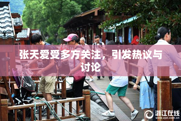 张天爱受多方关注，引发热议与讨论