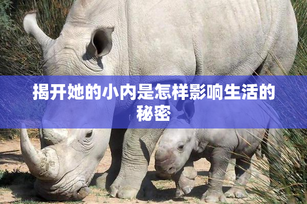 揭开她的小内是怎样影响生活的秘密