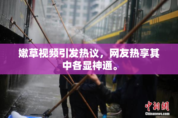 嫩草视频引发热议，网友热享其中各显神通。