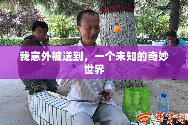 我意外被送到，一个未知的奇妙世界