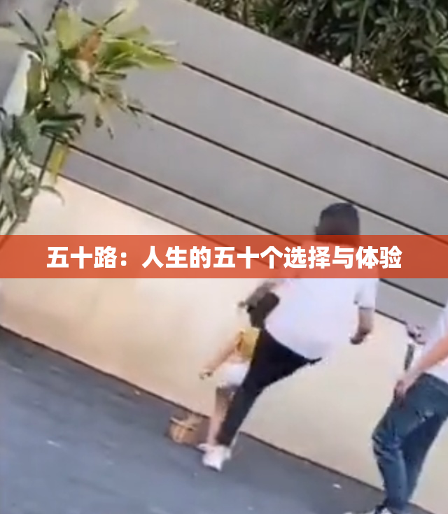 五十路：人生的五十个选择与体验