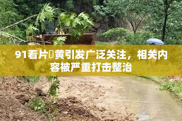 91看片婬黄引发广泛关注，相关内容被严重打击整治