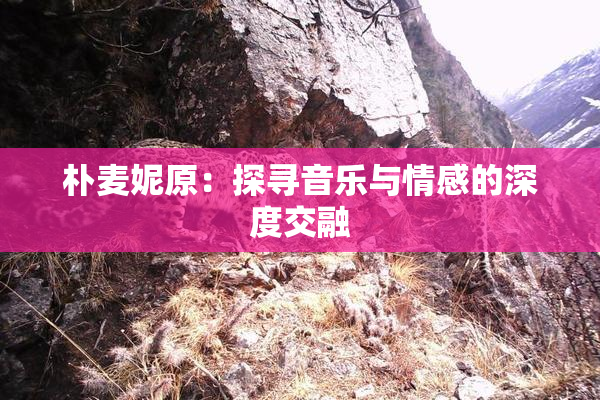 朴麦妮原：探寻音乐与情感的深度交融
