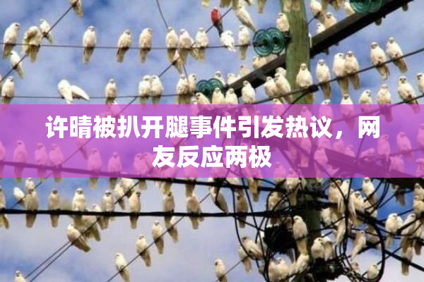 许晴被扒开腿事件引发热议，网友反应两极