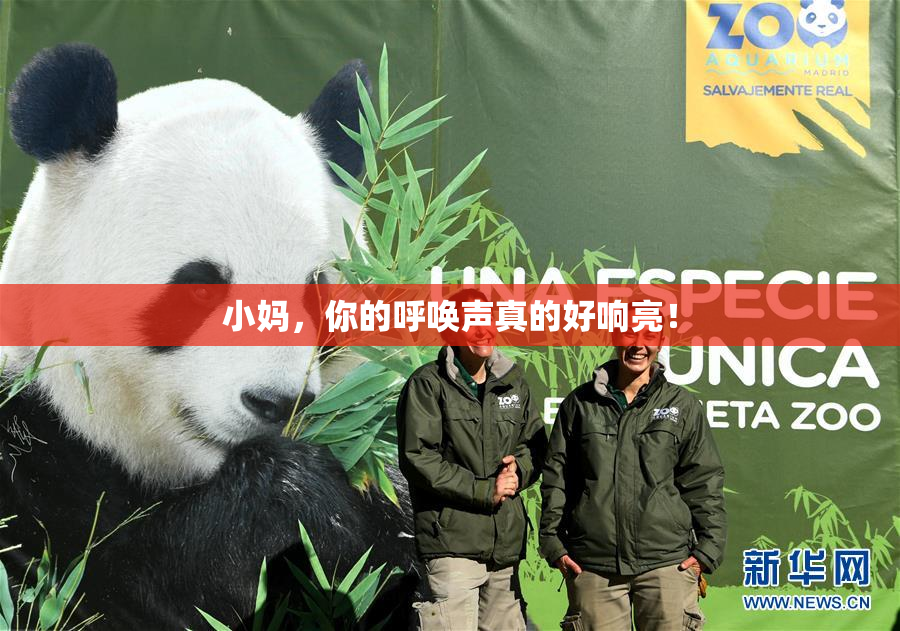 小妈，你的呼唤声真的好响亮！