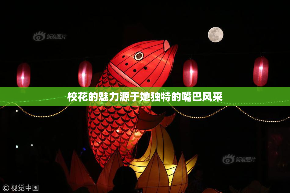 校花的魅力源于她独特的嘴巴风采