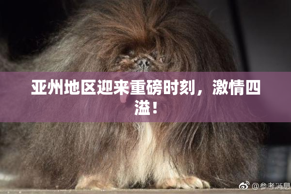 亚州地区迎来重磅时刻，激情四溢！