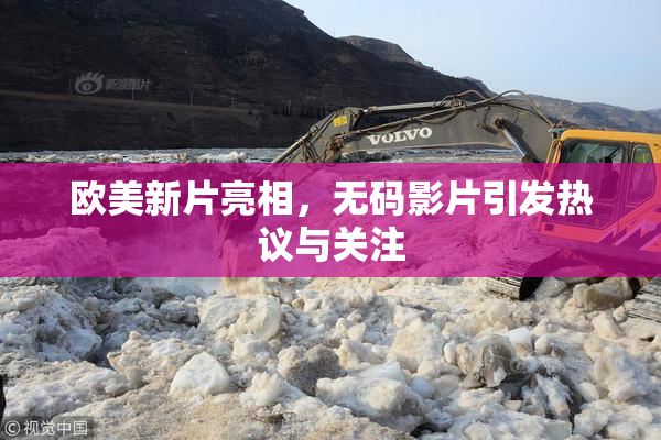 欧美新片亮相，无码影片引发热议与关注