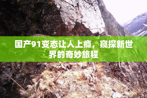 国产91变态让人上瘾，窥探新世界的奇妙旅程