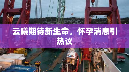 云曦期待新生命，怀孕消息引热议