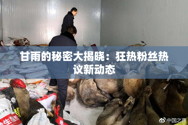 甘雨的秘密大揭晓：狂热粉丝热议新动态