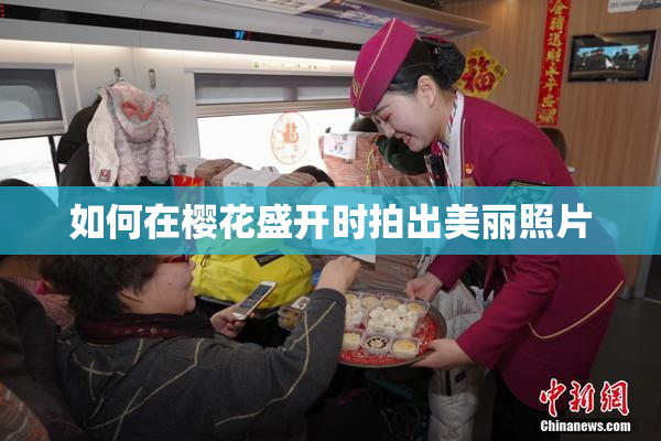 如何在樱花盛开时拍出美丽照片